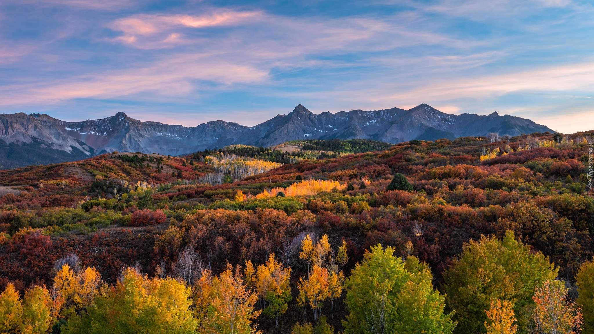 Telluride, Las, Jesień, Góry, San Juan Mountains, Drzewa, Kolorado, Stany Zjednoczone