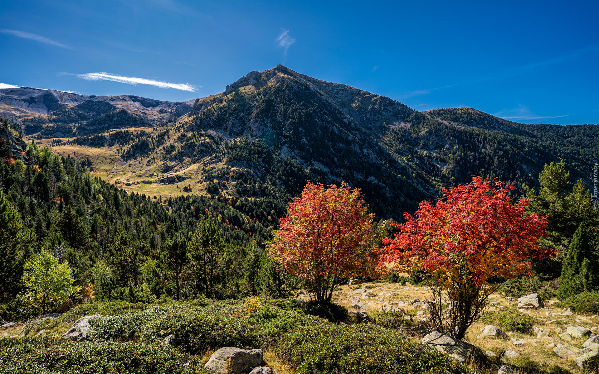 Góry, Pireneje, Jesień, Lasy, Kolorowe, Drzewa, Krzewy, Escaldes-Engordany, Andora