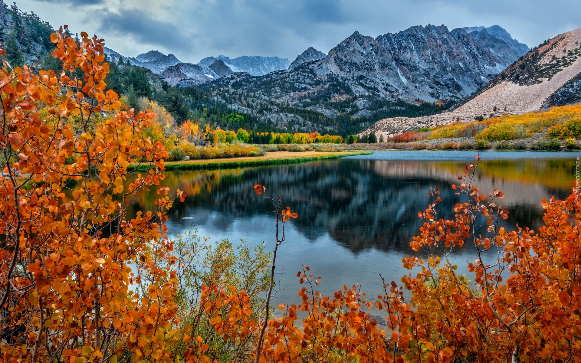 Stany Zjednoczone, Kalifornia, Sierra Nevada Mountains, Góry, Jezioro, Drzewa, Liście, Gałęzie, Chmury, Jesień