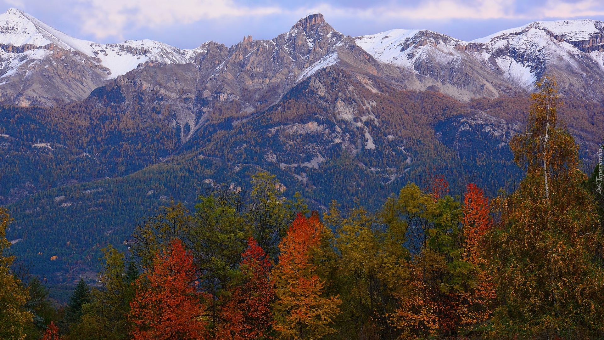 Góry, Alpy, Kolorowe, Drzewa, Francja