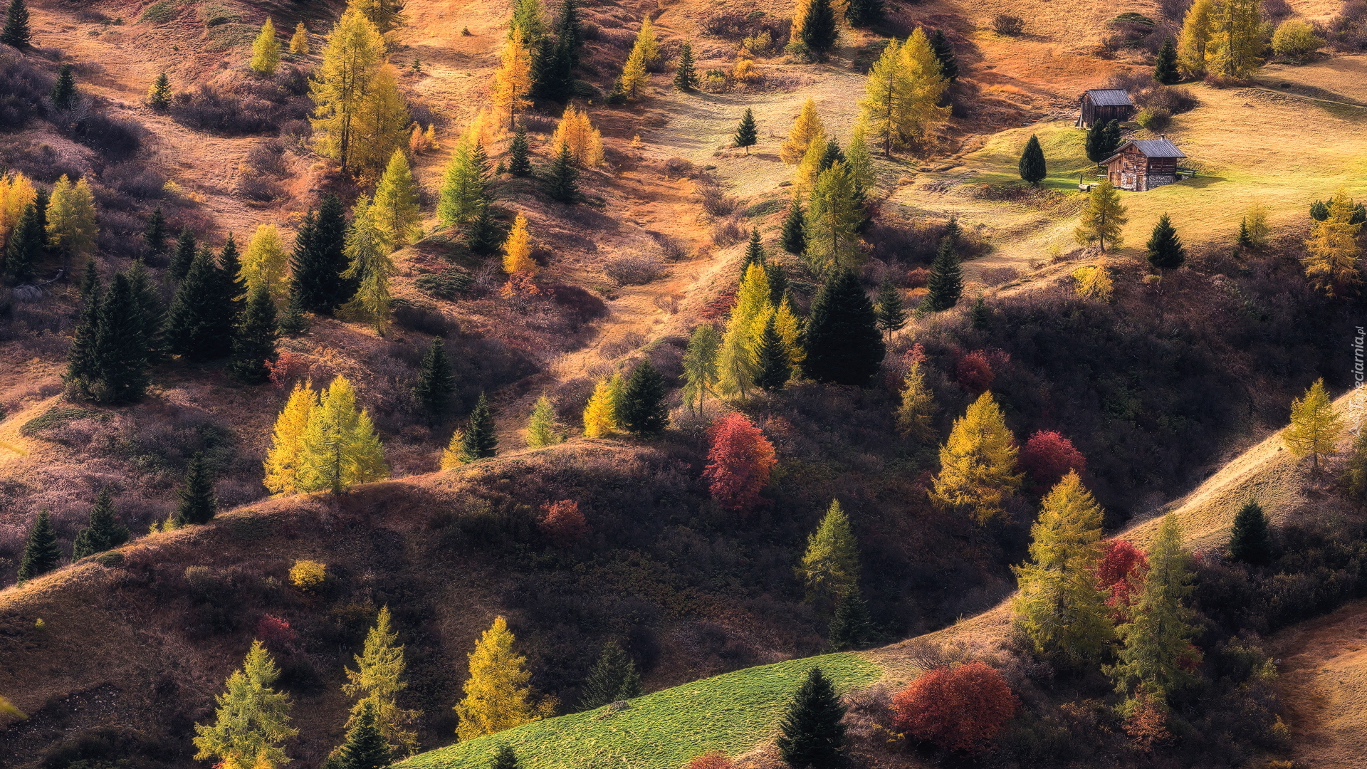 Jesień, Kolorowe, Drzewa, Domki, Pagórki