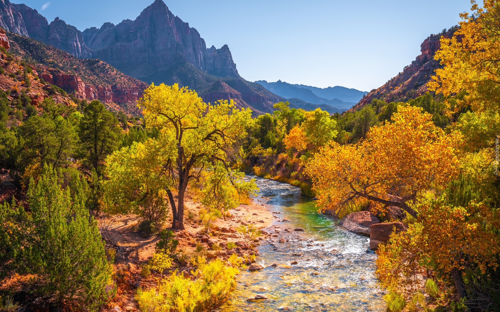 Park Narodowy Zion, Góry Watchman, Rzeka Virgin River, Kamienie, Drzewa, Jesień, Stan Utah, Stany Zjednoczone