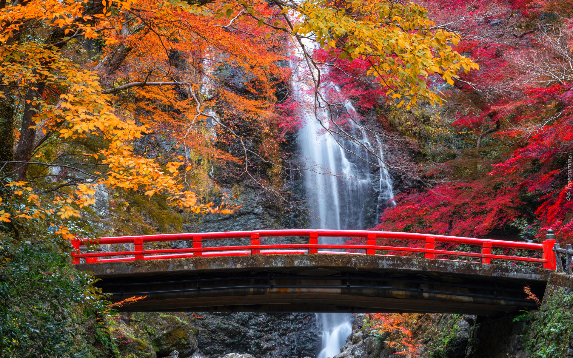 Jesień, Drzewa, Skały, Czerwony, Most, Wodospad