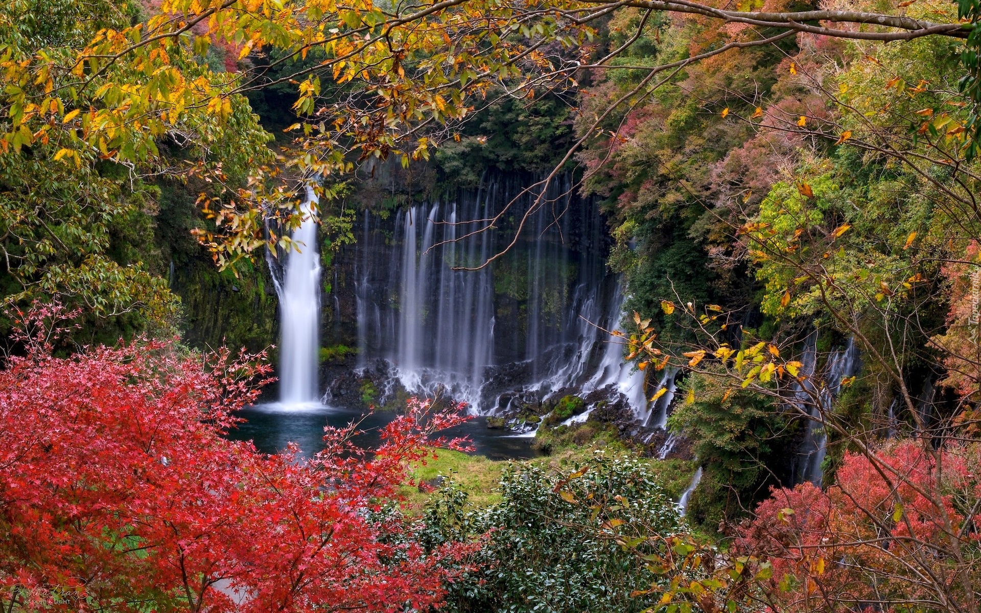 Wodospad, Shiraito Falls, Skały, Kolorowe, Drzewa, Jesień, Prefektura Shizuoka, Japonia