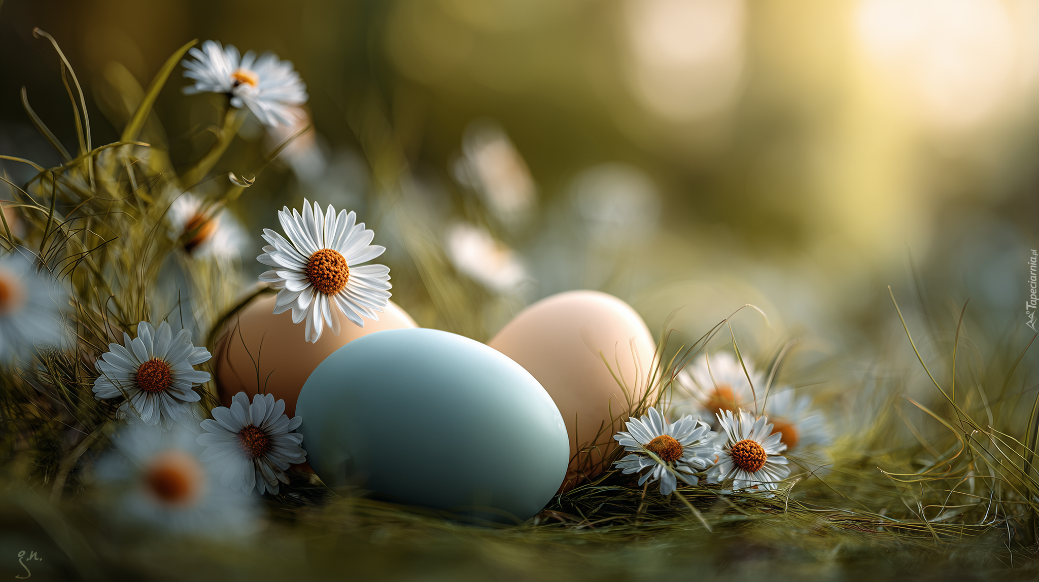 Kolorowe, Jajka, Trawa, Stokrotki, Wielkanoc, Grafika AI