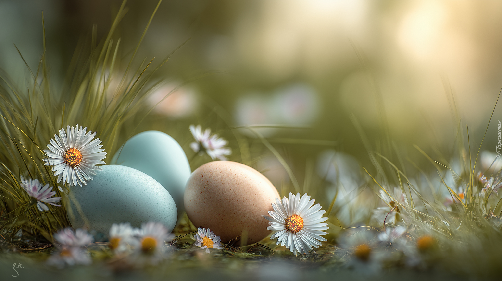 Jajka, Stokrotki, Trawa, Grafika AI