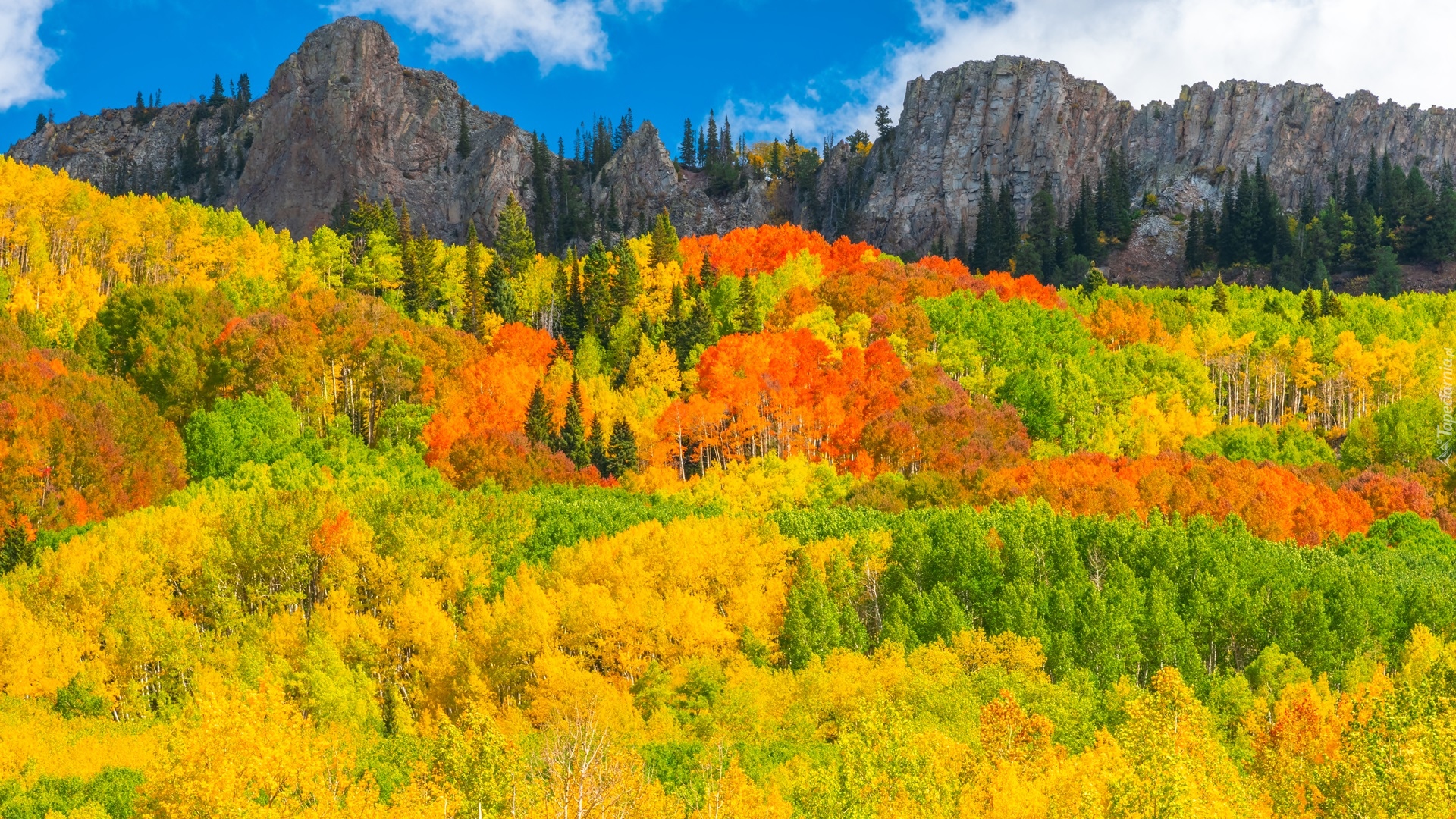 Stany Zjednoczone, Kolorado, Przełęcz, Kebler Pass, Góry, Las, Drzewa, Jesień