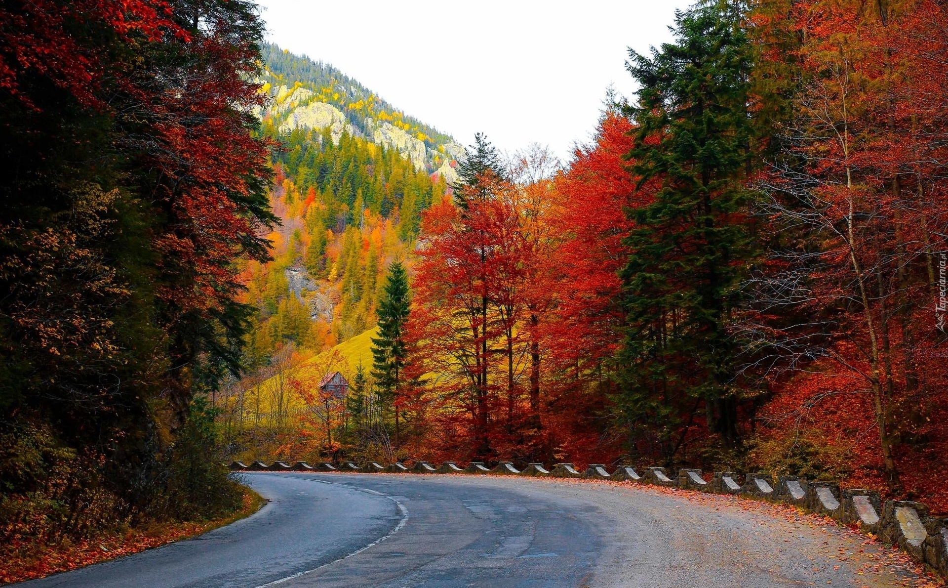 Jesień, Droga, Zakręt, Góry, Las, Drzewa
