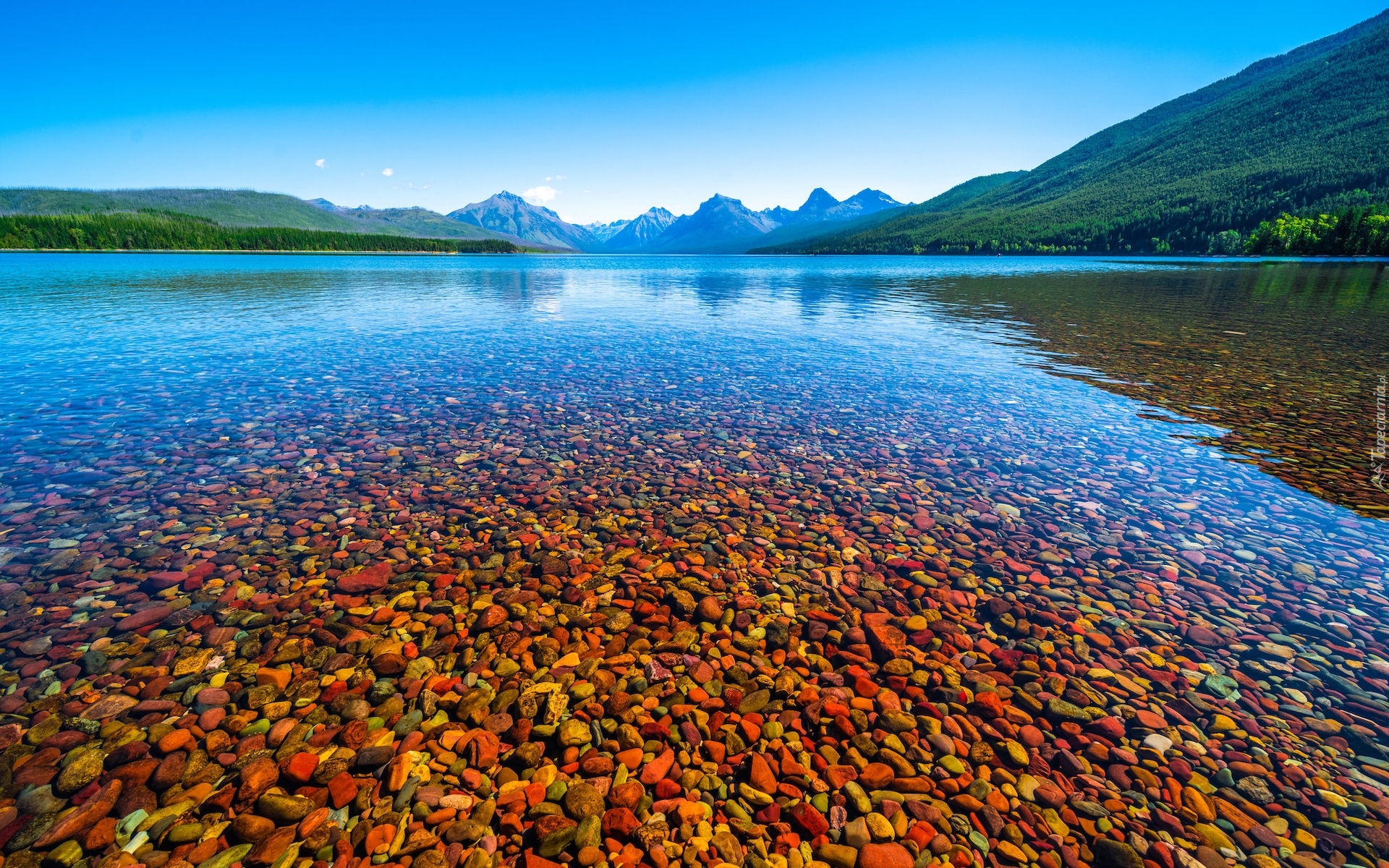 Stany Zjednoczone, Stan Montana, Park Narodowy Glacier, Jezioro, Lake McDonald, Wzgórza, Kolorowe, Kamienie