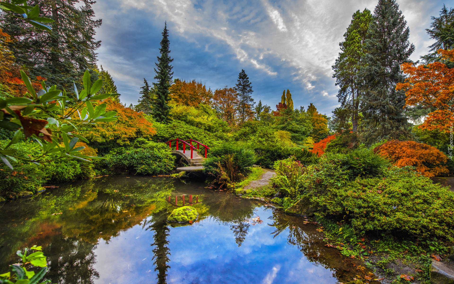 Ogród, Czerwony, Mostek, Staw, Krzewy, Kubota Garden, Seattle, Stan Waszyngton, Stany Zjednoczone