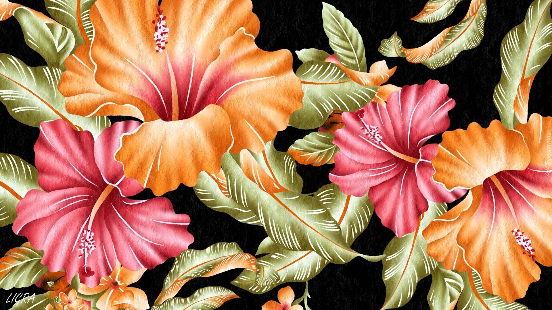 Kwiaty, Hibiskusy, 2D