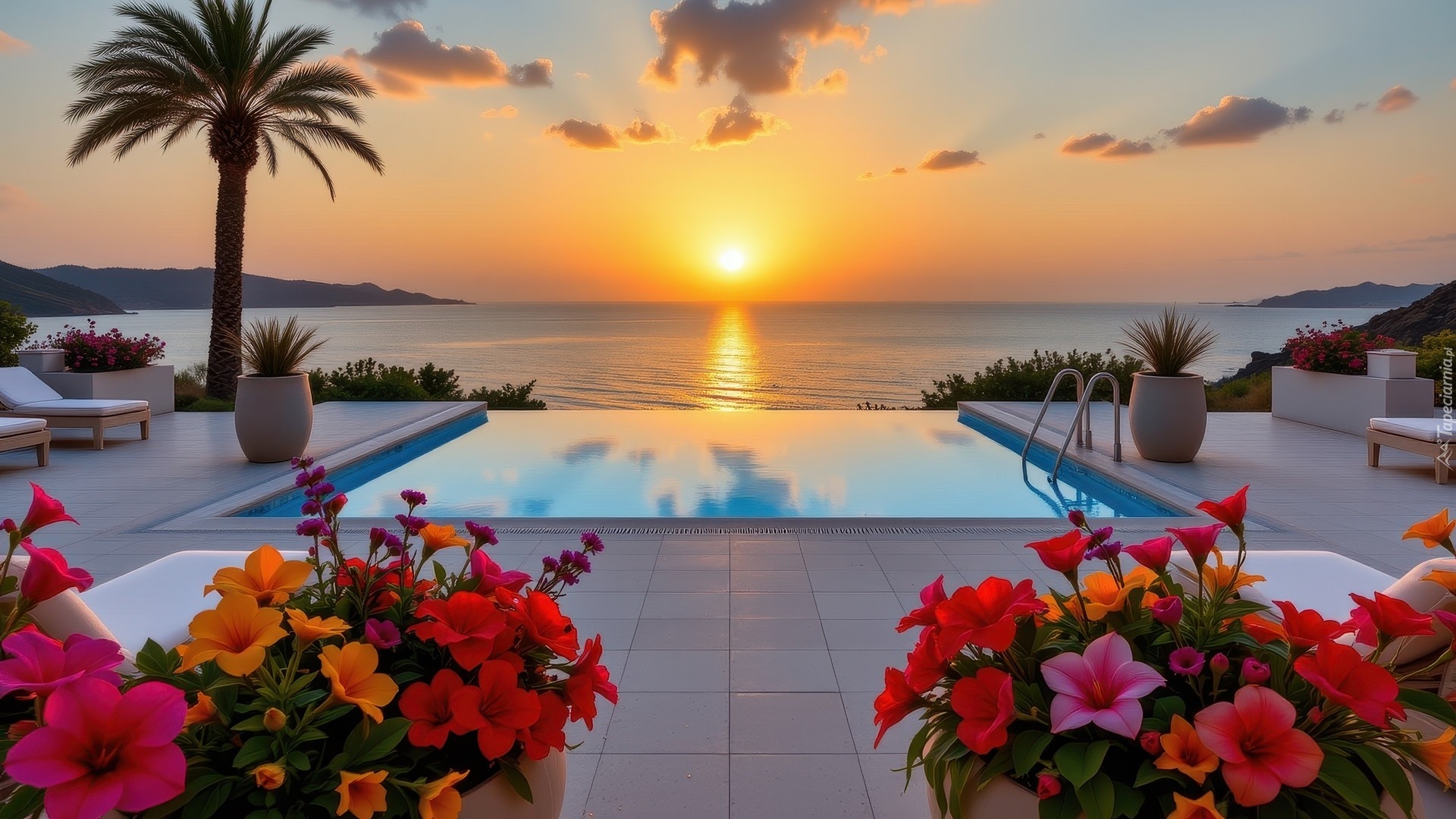 Morze, Zachód słońca, Basen, Palma, Kolorowe, Kwiaty, Donice, Leżaki