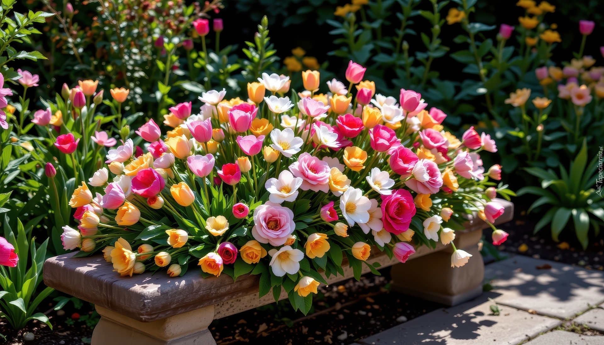 Kolorowe, Kwiaty, Kamienna, Ławka