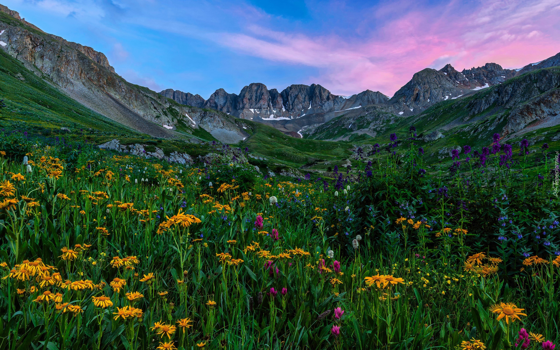 Stany Zjednoczone, Kolorado, San Juan Mountains, Góry, Polana, Kwiaty, Skały, Niebo, Łąka