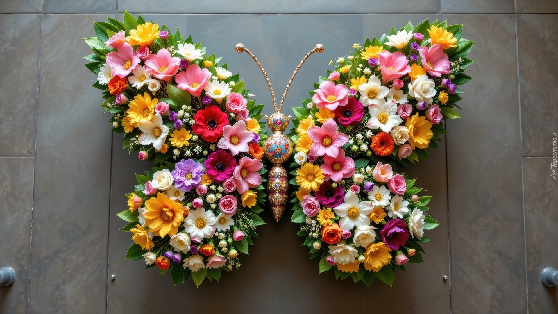 Kwiatowy, Motyl, Kolorowe, Kwiaty