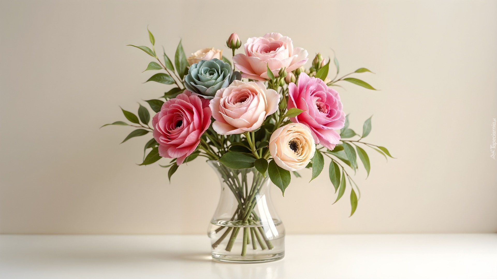 Wazon, Kolorowe, Kwiaty