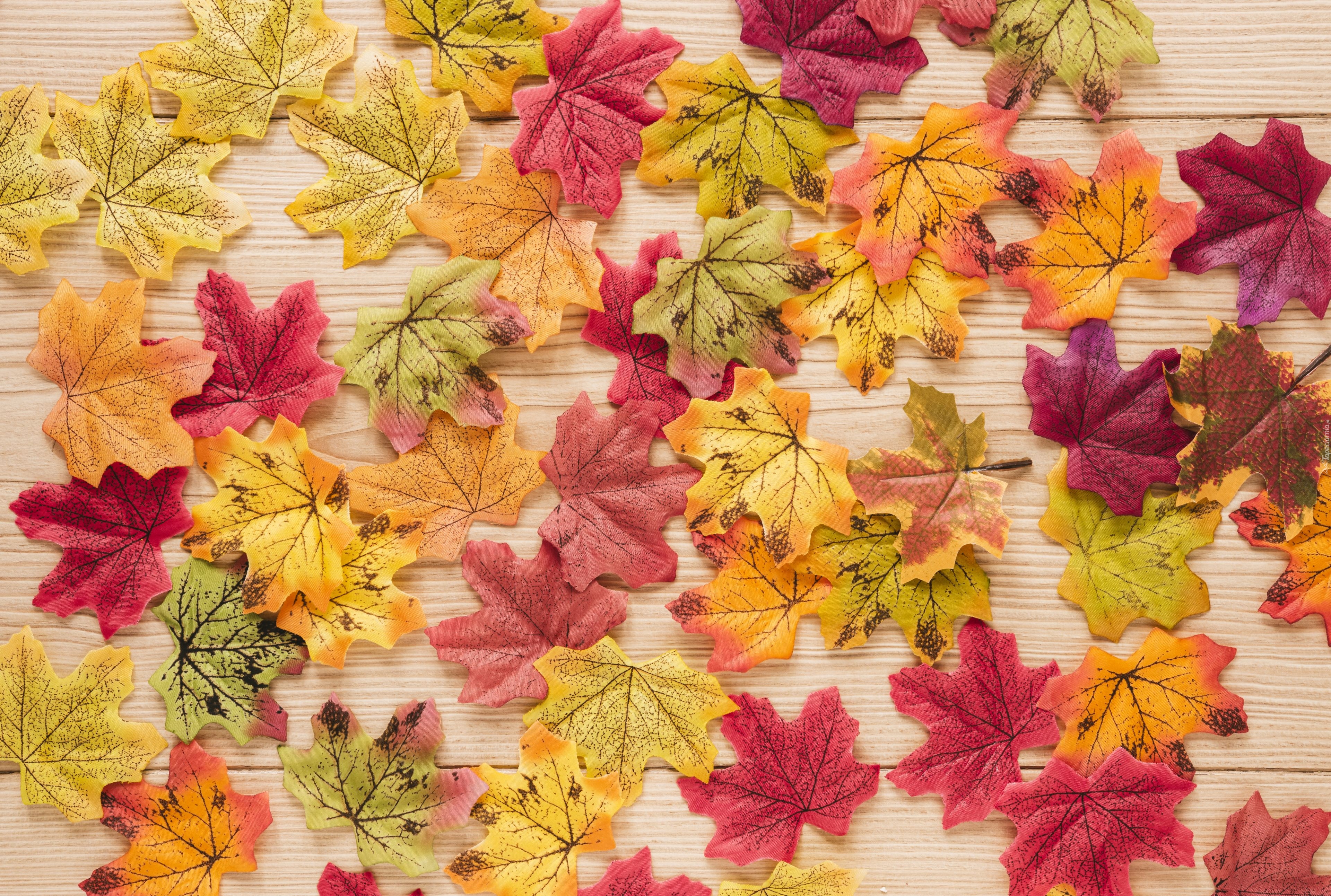 Jesień, Sztuczne, Kolorowe, Liście