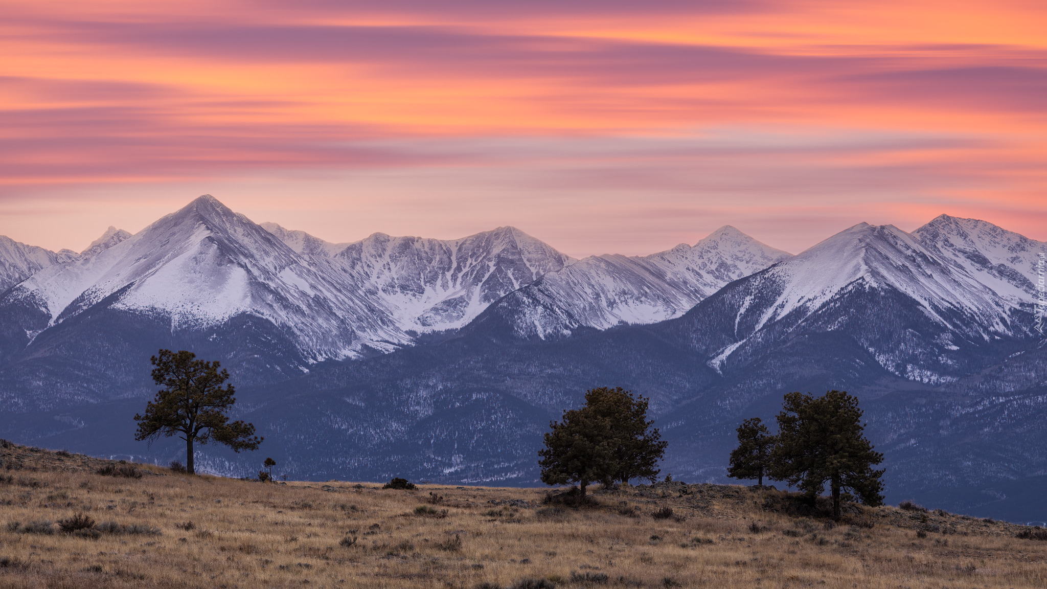 Zachód słońca, Góry, Sangre de Cristo Mountains, Łąka, Drzewa, Trawa, Westcliffe, Kolorado, Stany Zjednoczone