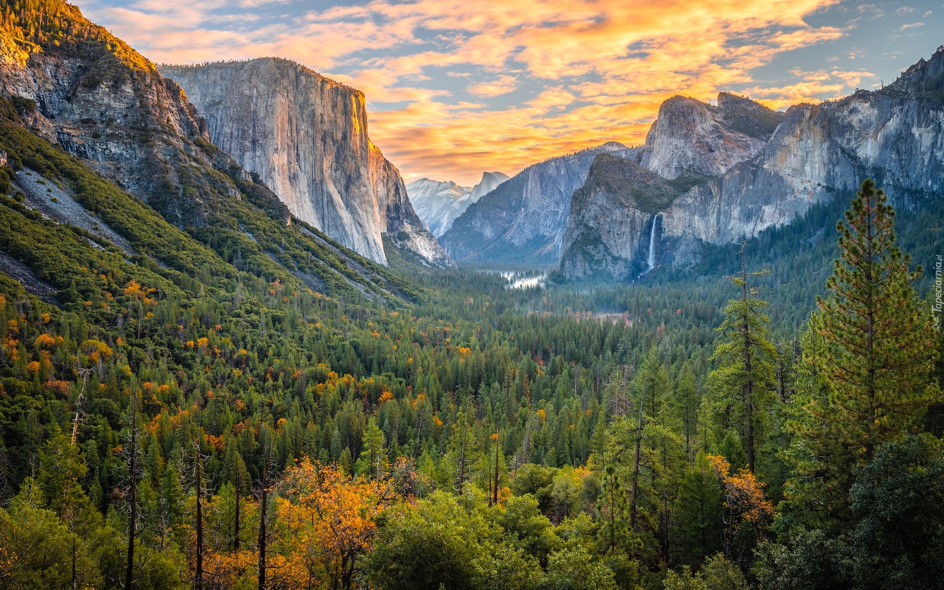 Stany Zjednoczone, Kalifornia, Park Narodowy Yosemite, Góry, Drzewa