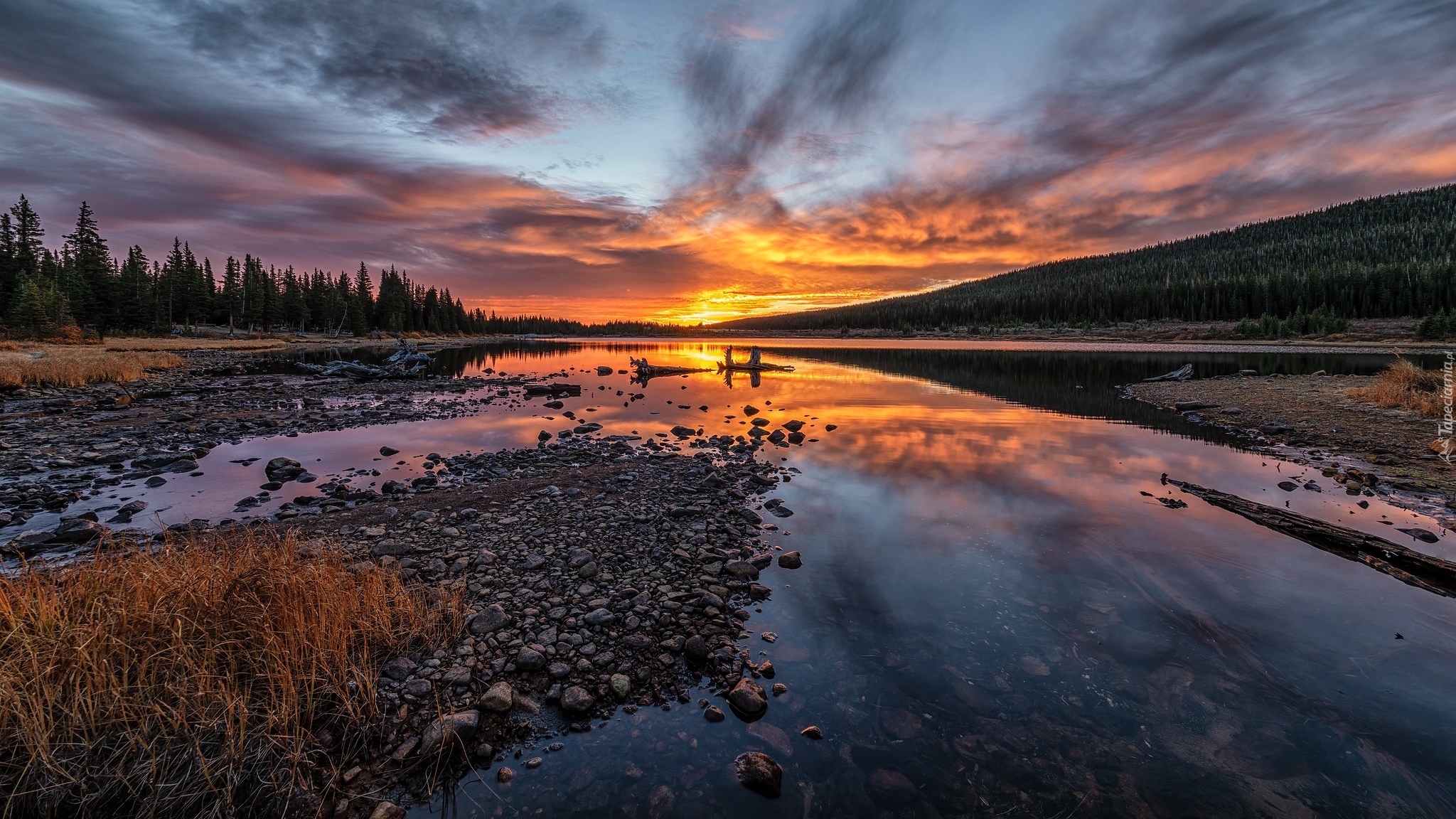 Kamienie, Drzewa, Wschód słońca, Jezioro, Brainard Lake, Kolorado, Stany Zjednoczone