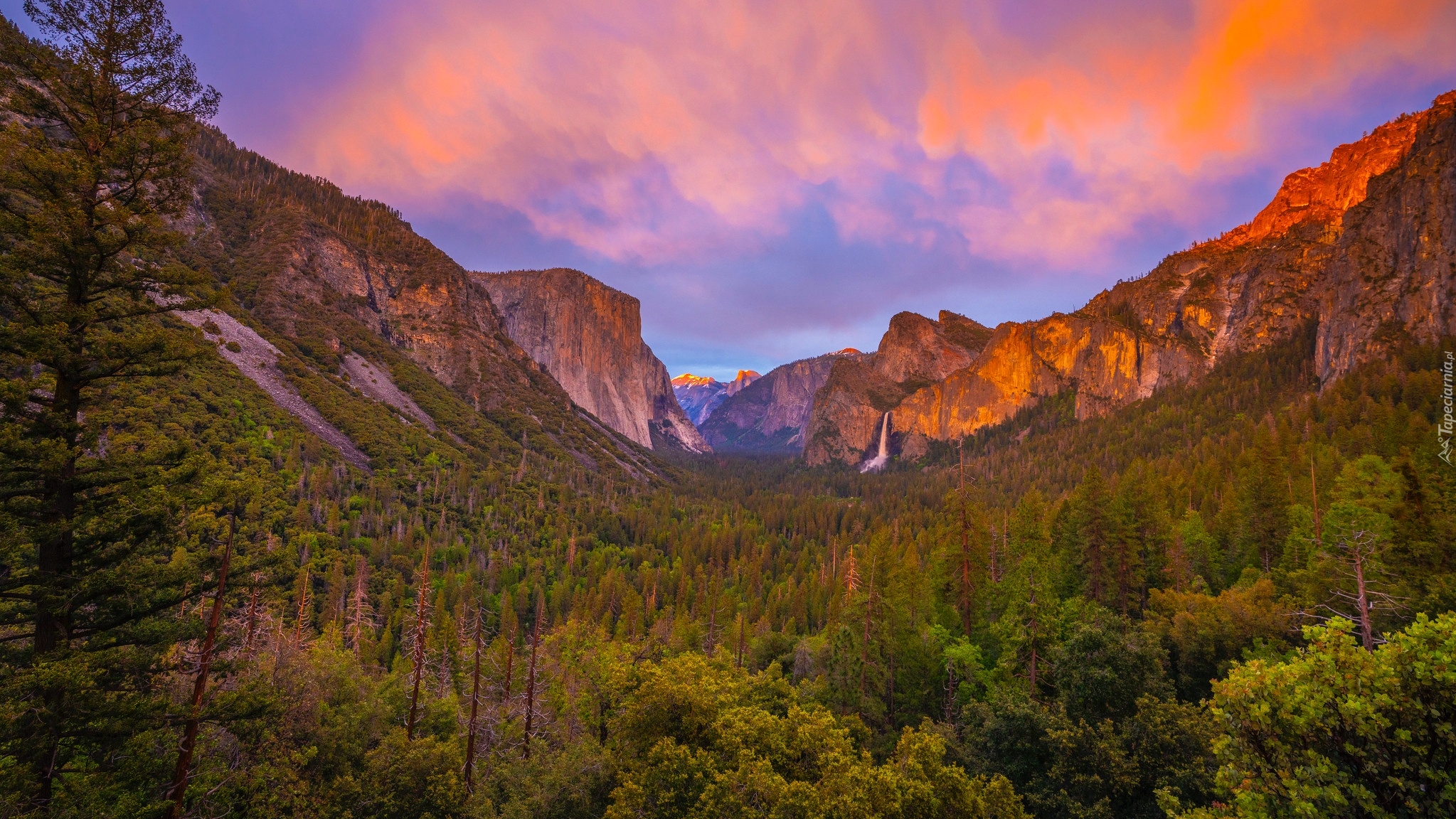 Stany Zjednoczone, Kalifornia, Park Narodowy Yosemite, Góry, Skały, Drzewa, Roślinność