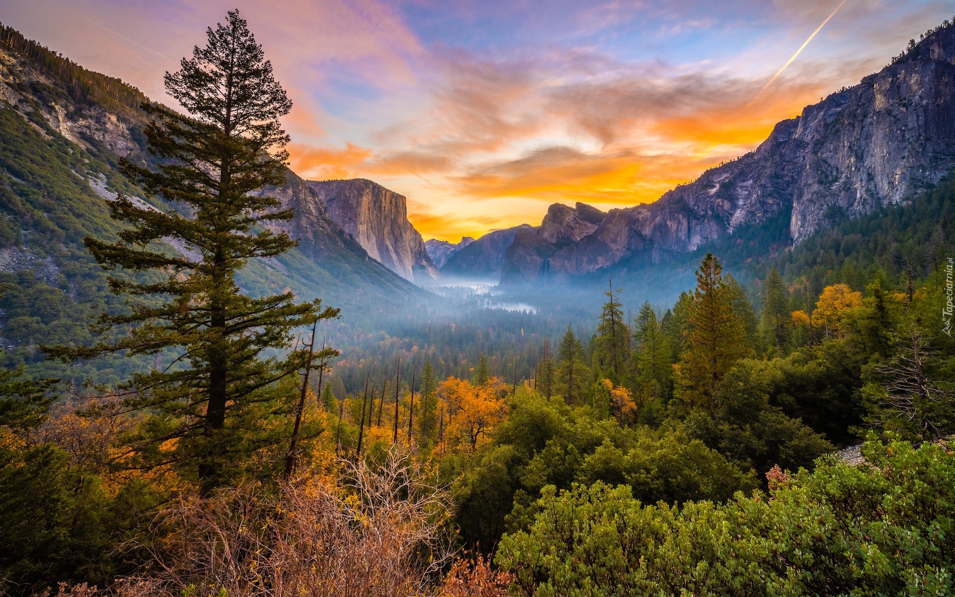 Park Narodowy Yosemite, Jesień, Skały, Drzewa, Krzewy, Mgła, Góry, Kalifornia, Stany Zjednoczone