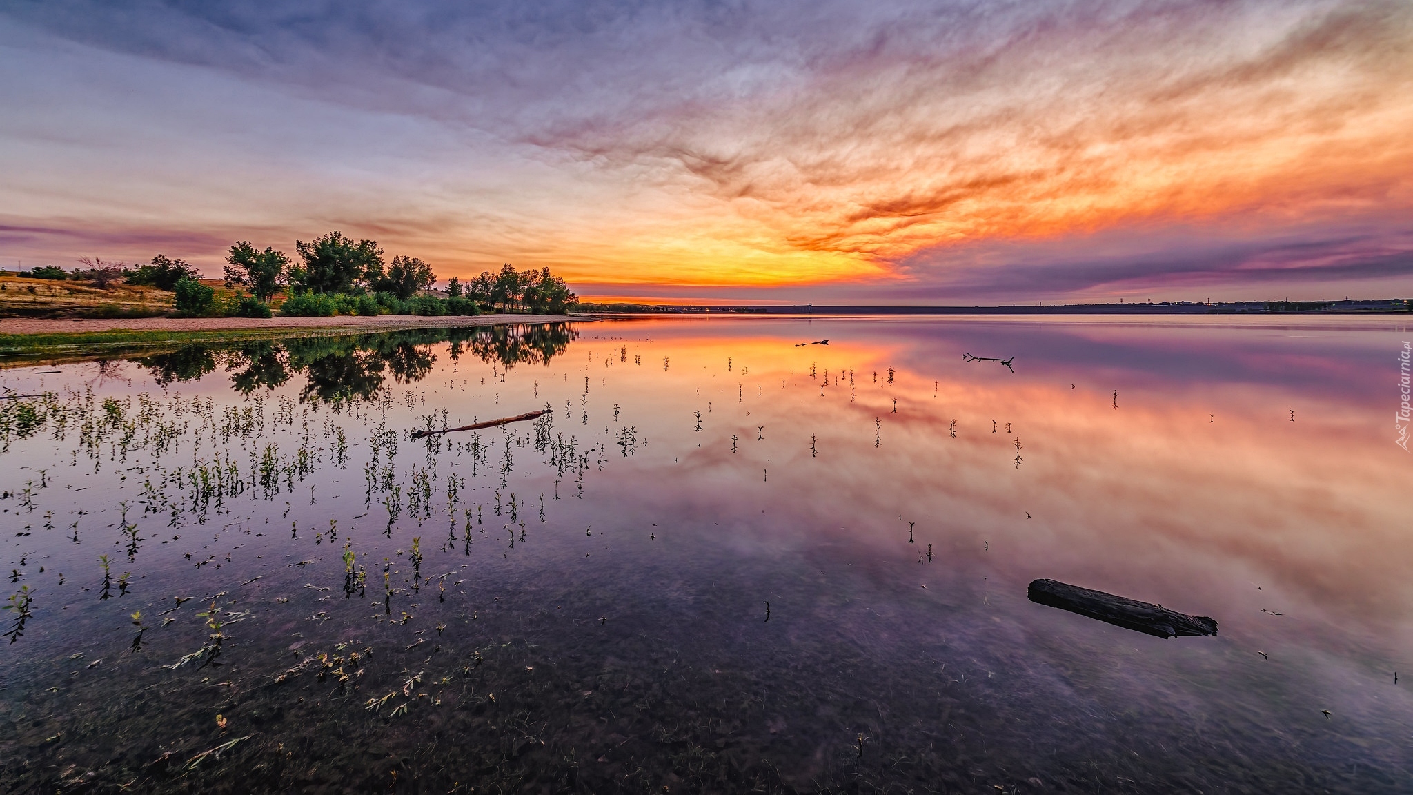 Wschód słońca, Niebo, Drzewa, Jezioro, Lake Chatfield, Park stanowy Chatfield, Kolorado, Stany Zjednoczone