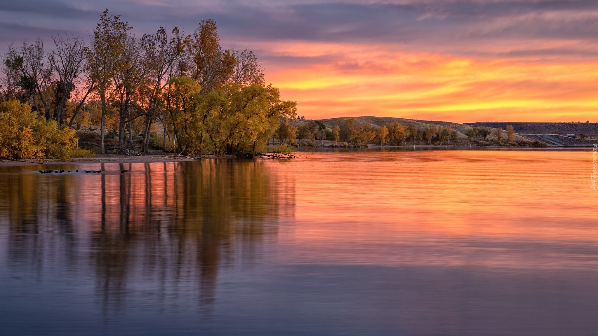 Wschód słońca, Drzewa, Jezioro, Lake Chatfield, Park stanowy Chatfield, Kolorado, Stany Zjednoczone