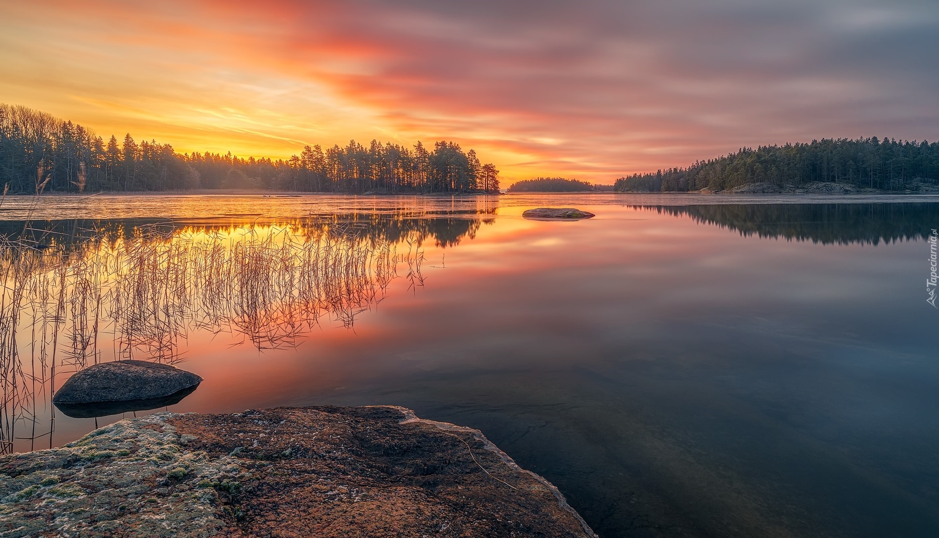 Jezioro, Wetter Lake, Las, Drzewa, Zachód słońca, Szwecja