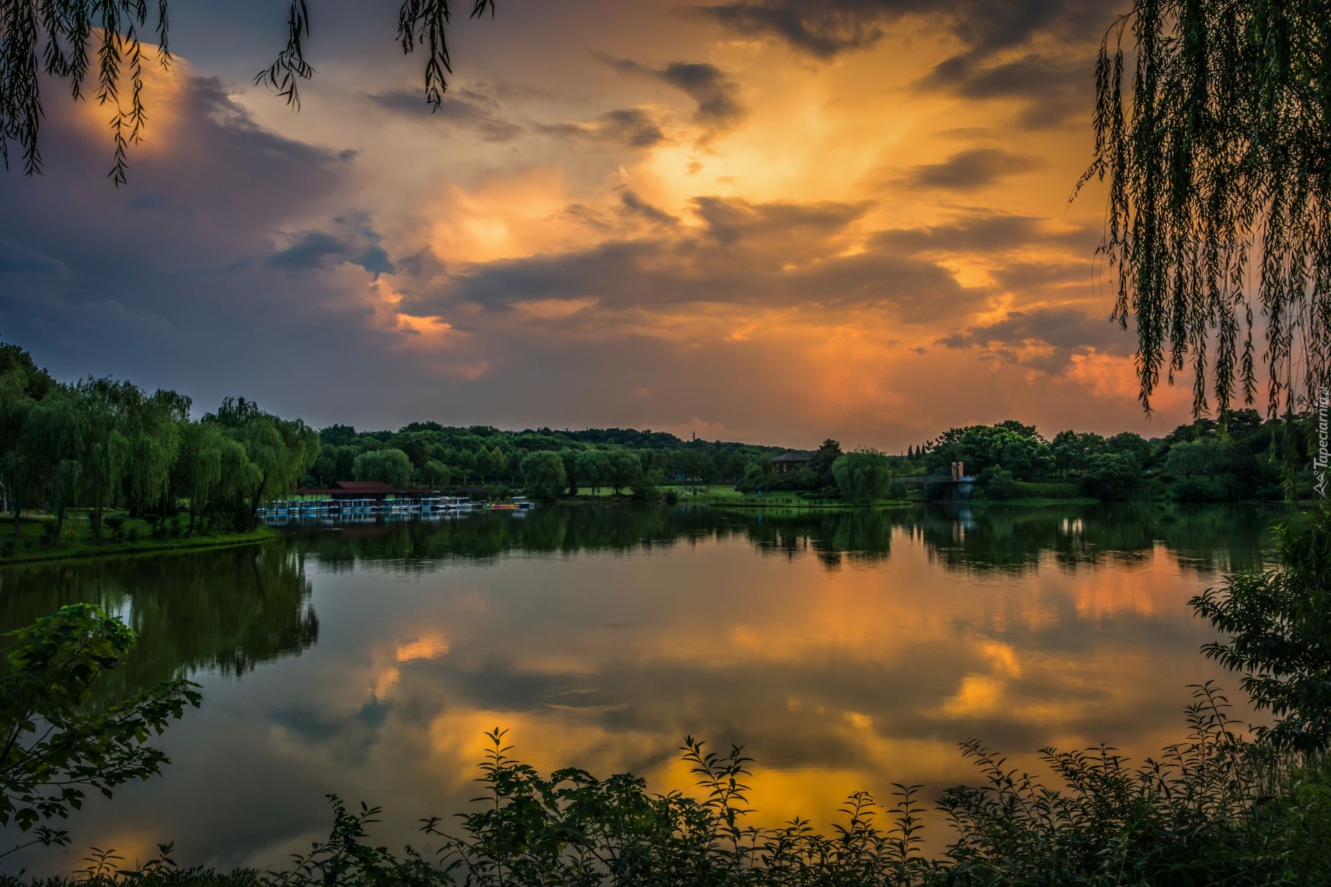 Jezioro, Zachód słońca, Drzewa, Liście