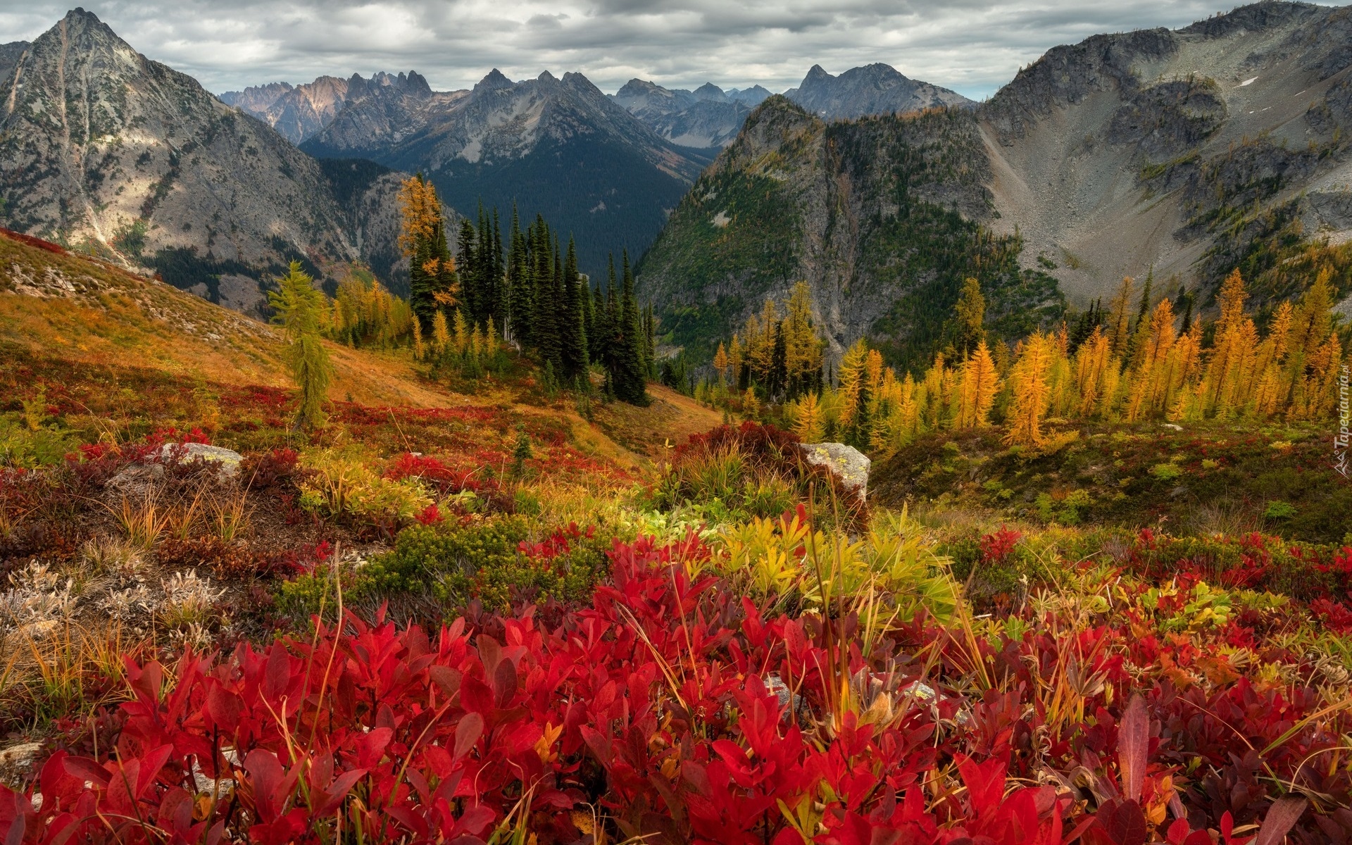 Jesień, Drzewa, Kolorowa, Roślinność, Chmury, Góry Kaskadowe, Stan Wyszyngton, Stany Zjednoczone