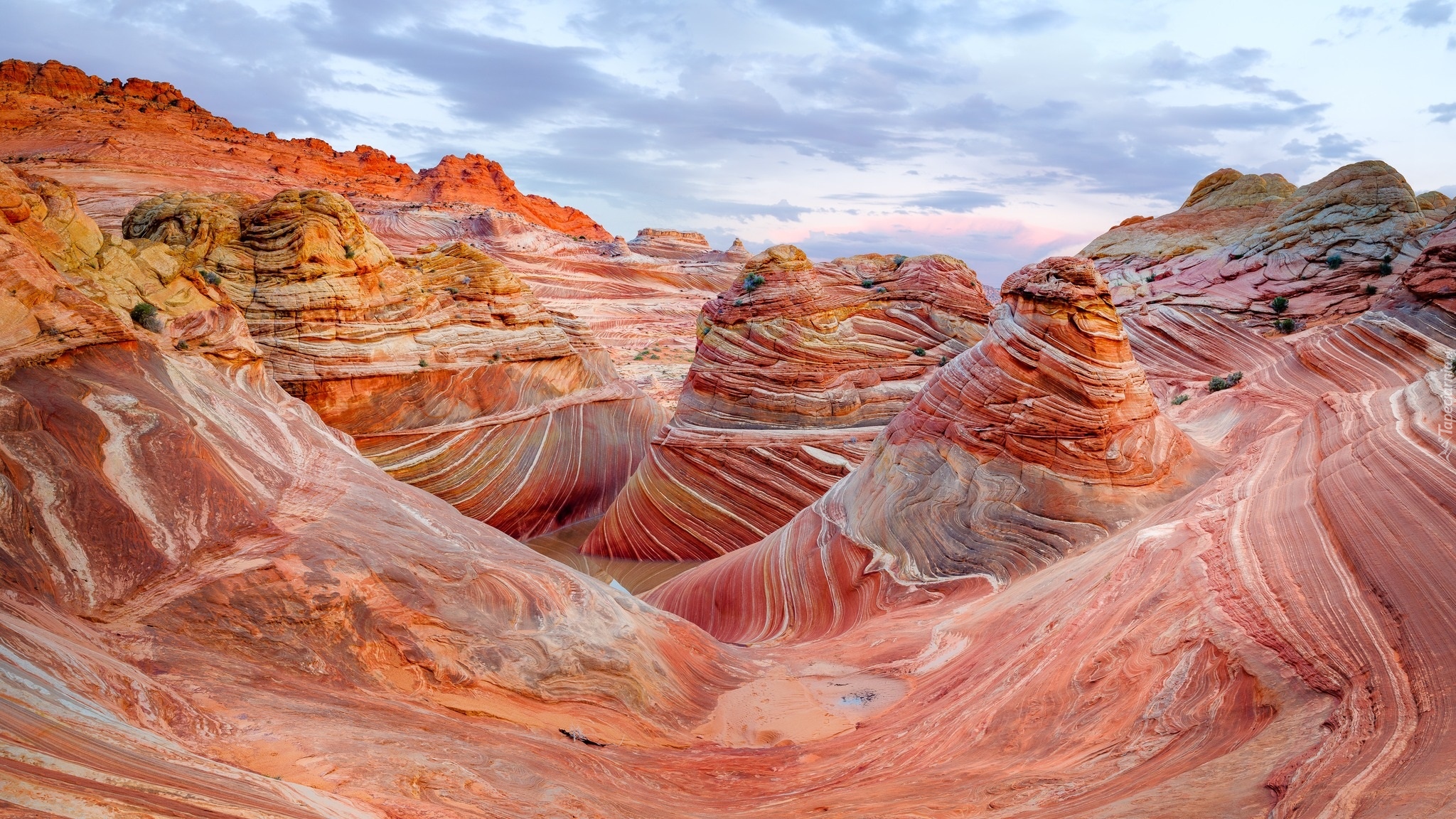 Kolorowe, Skały, Marble Kanion, Arizona, Stany Zjednoczone