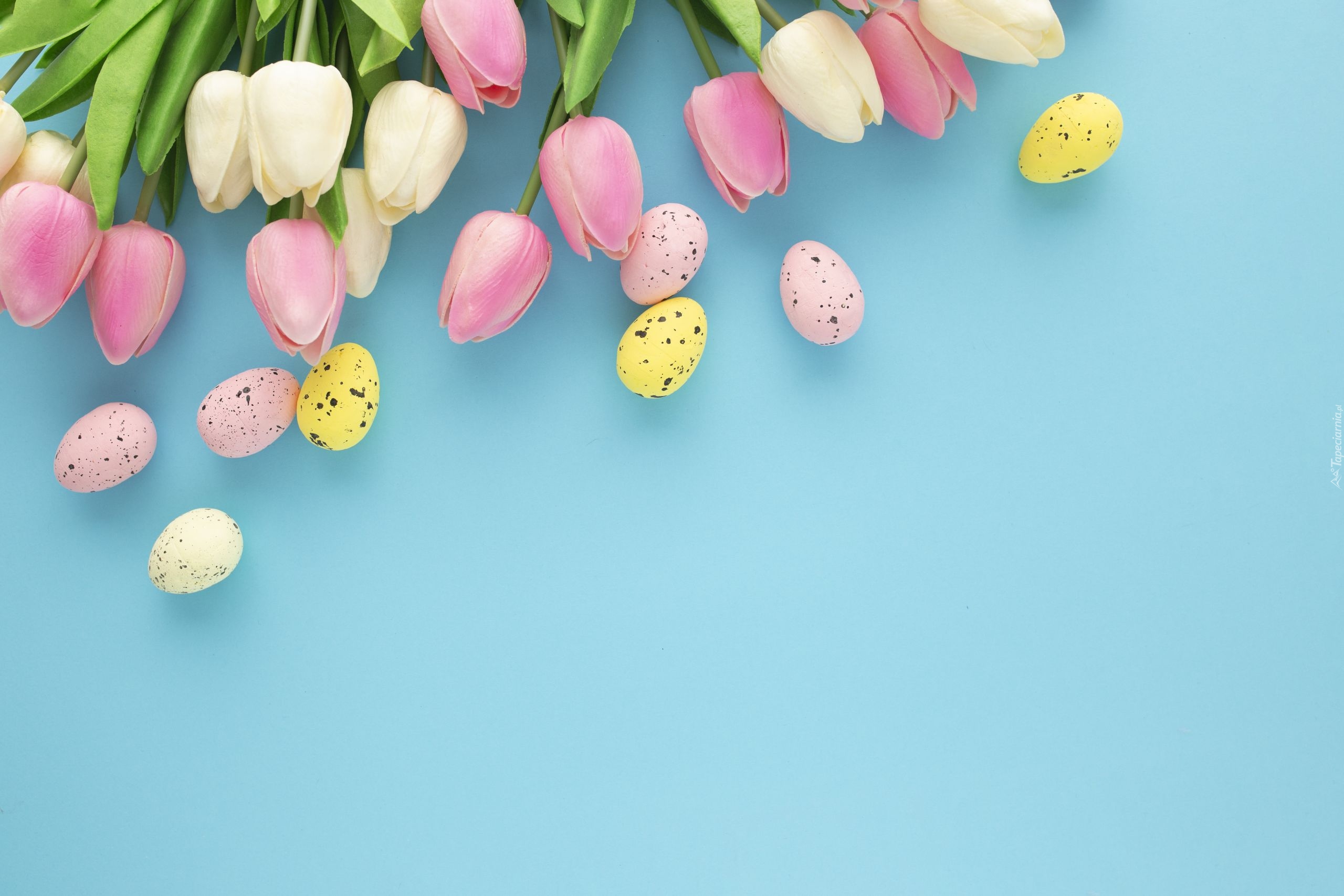 Wielkanoc, Kwiaty, Tulipany, Kolorowe, Jajeczka, Niebieskie, Tło
