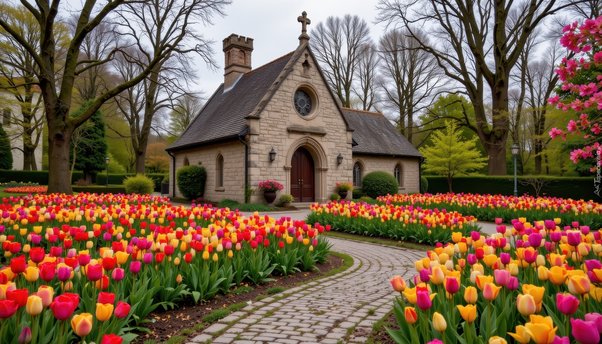 Wiosna, Kościół, Tulipany, Ścieżka, Drzewa