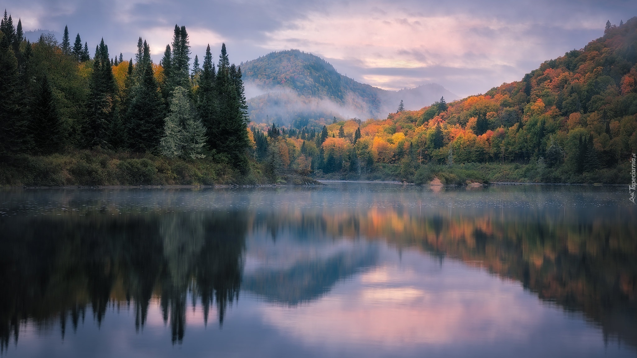 Kanada, Prowincja, Ontario, Góry, Jezioro, Drzewa, Lasy, Jesień, Odbicie, Mgła