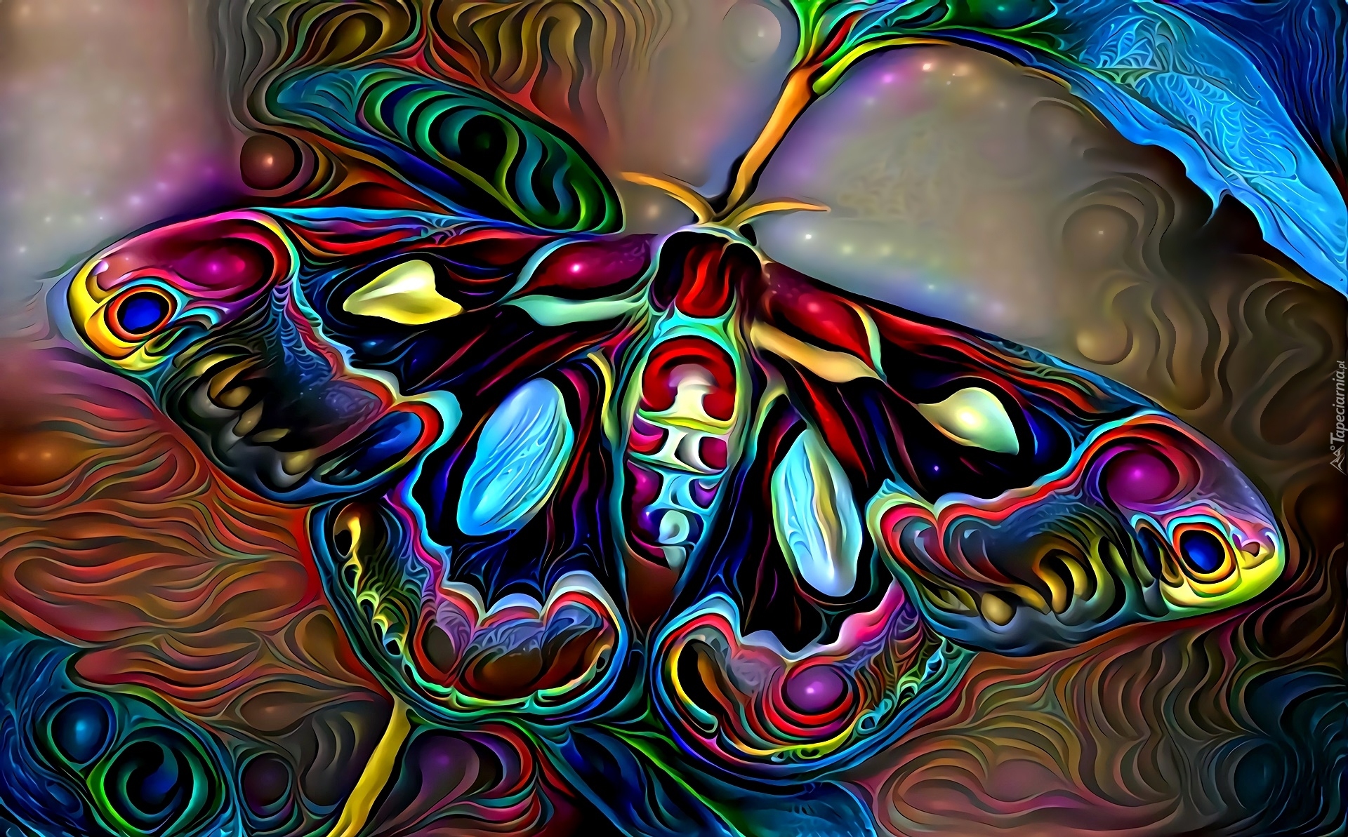 Grafika, Motyl