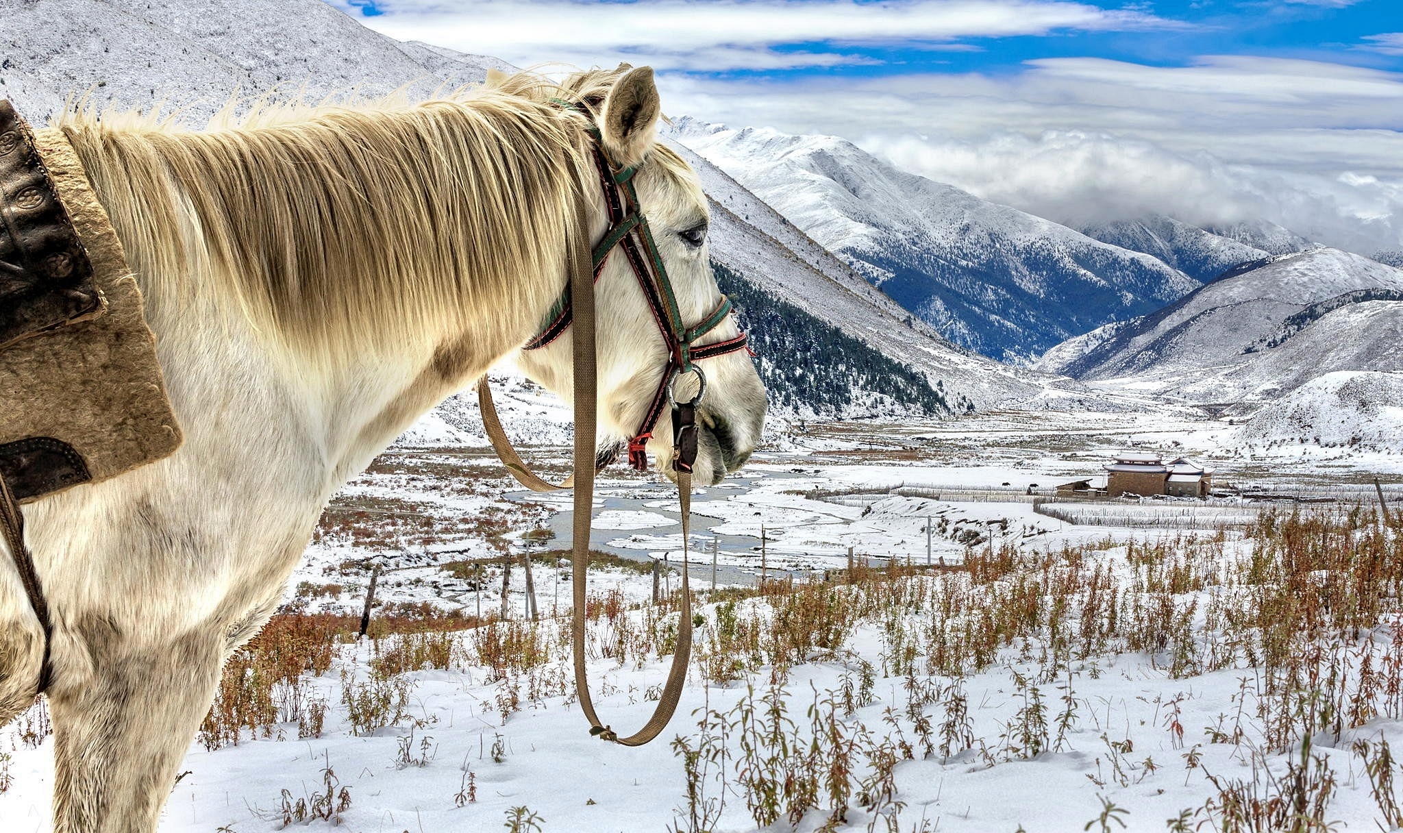 Koń, Góry, Zima