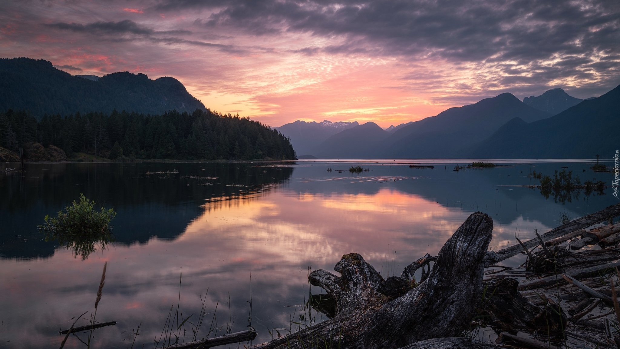 Poranek, Wschód słońca, Góry, Jezioro, Pitt Lake, Konar, Kanada