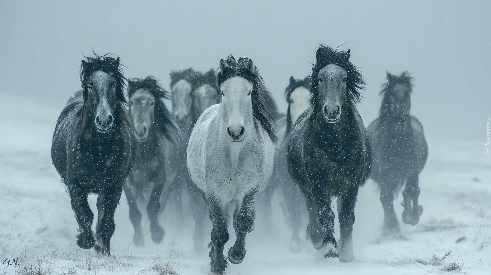 Konie, Galop, Zima, Grafika AI