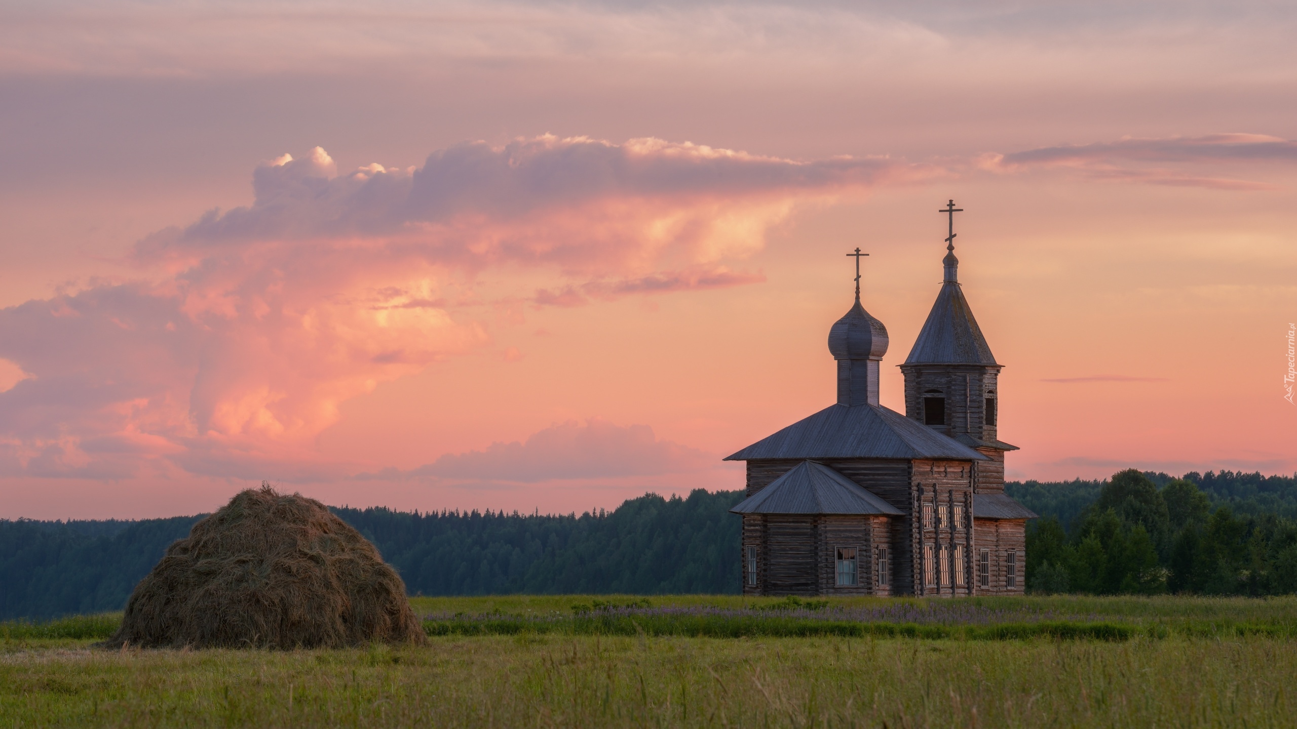 Rosja, Obwód archangielski, Nisogora, Cerkiew, Kopa, Łąka