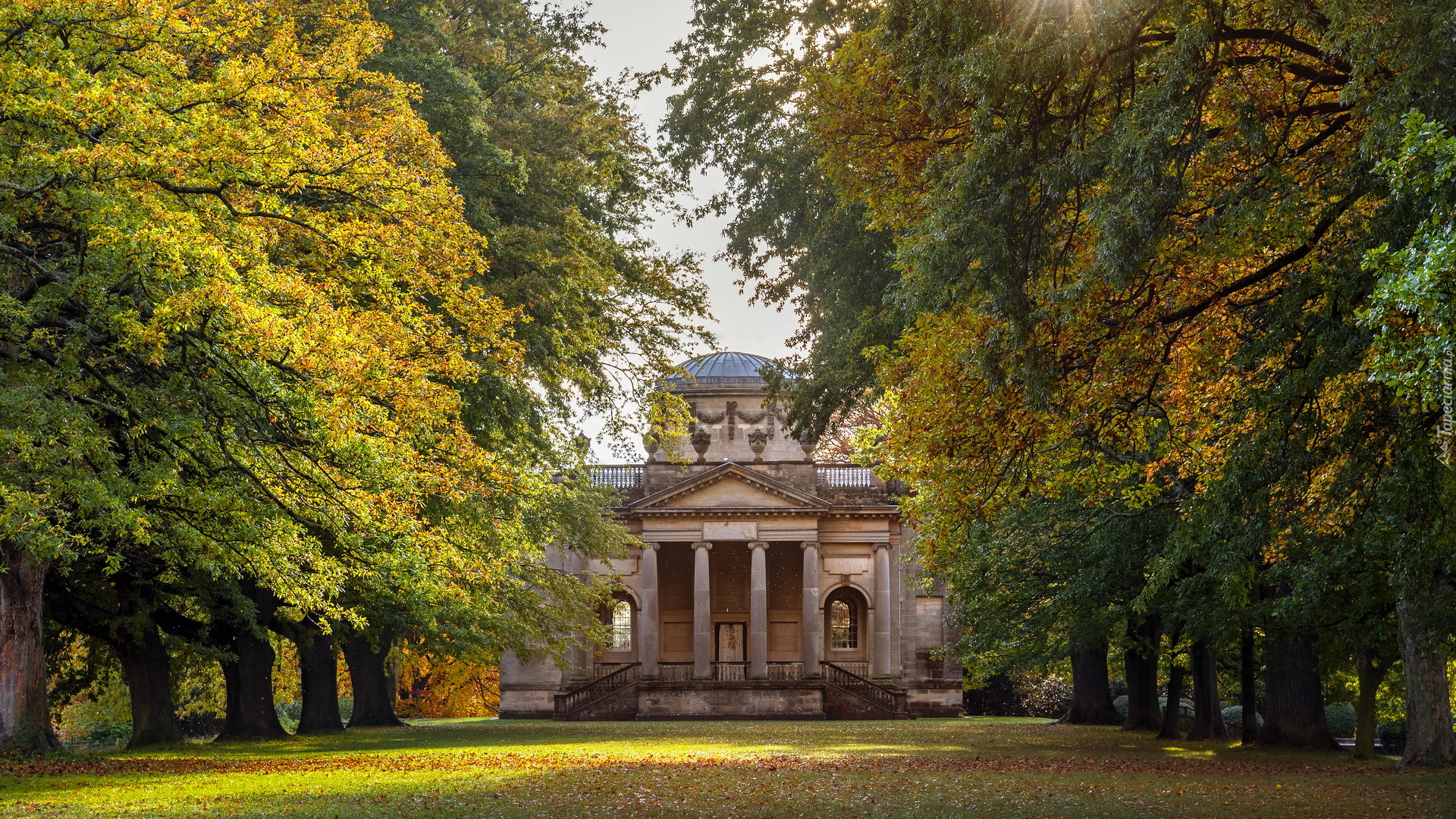 Kościół, Gibside Chapel, Drzewa, Aleja, Anglia