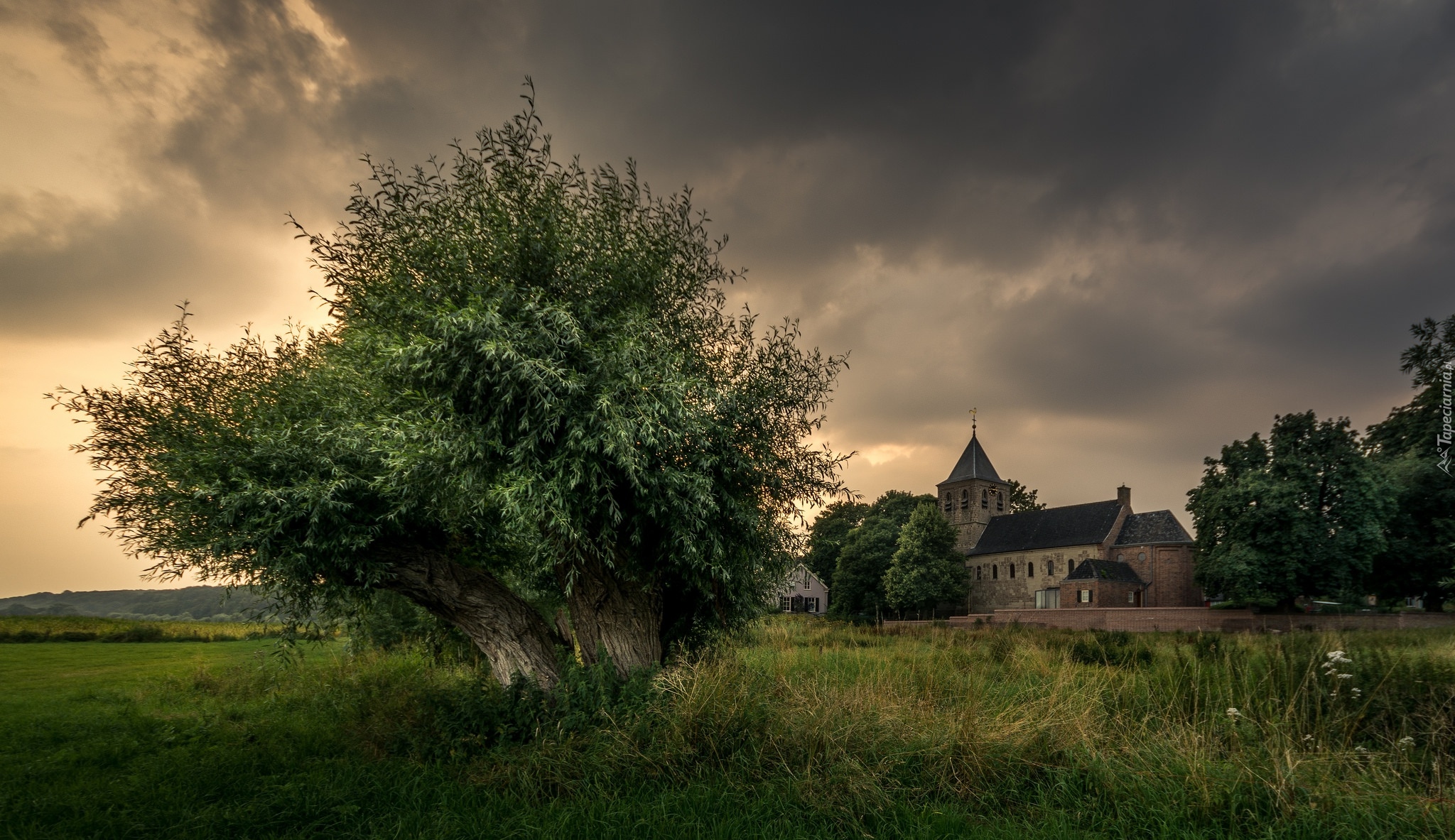 Holandia, Oosterbeek, Kościół Hervormde Kerk, Farma, Pole, Drzewo,  Niebo, Chmury