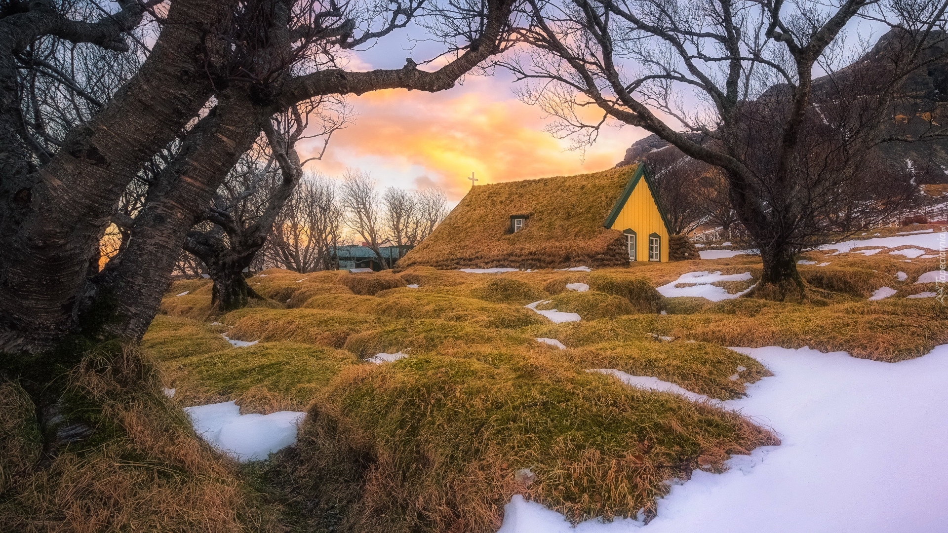 Budynek, Kościół Hofskirkja, Góry, Trawy, Drzewa, Śnieg, Osada, Hof, Gmina Hornafjordur, Islandia