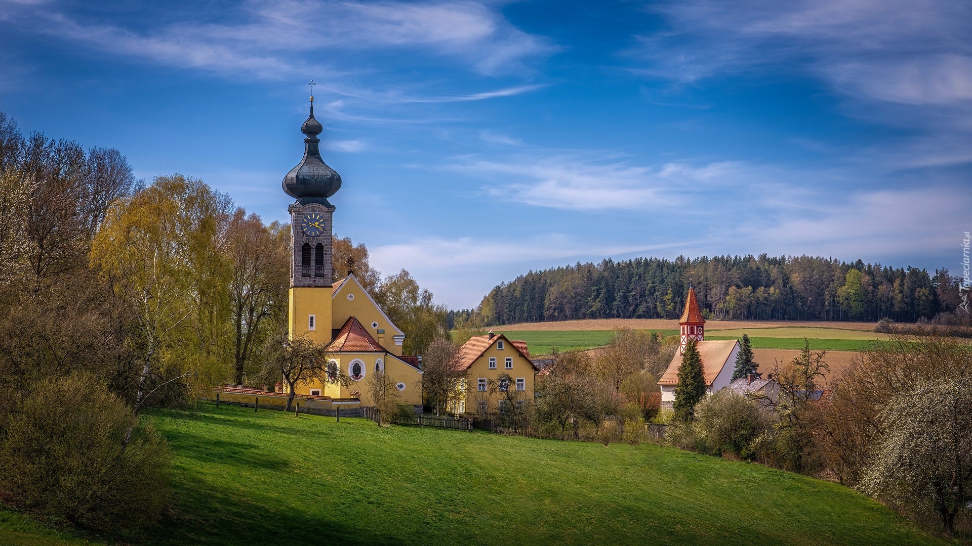 Kościół, Św Ulricha, Domy, Lasy, Drzewa, Pola, Wilchenreuth, Bawaria, Niemcy