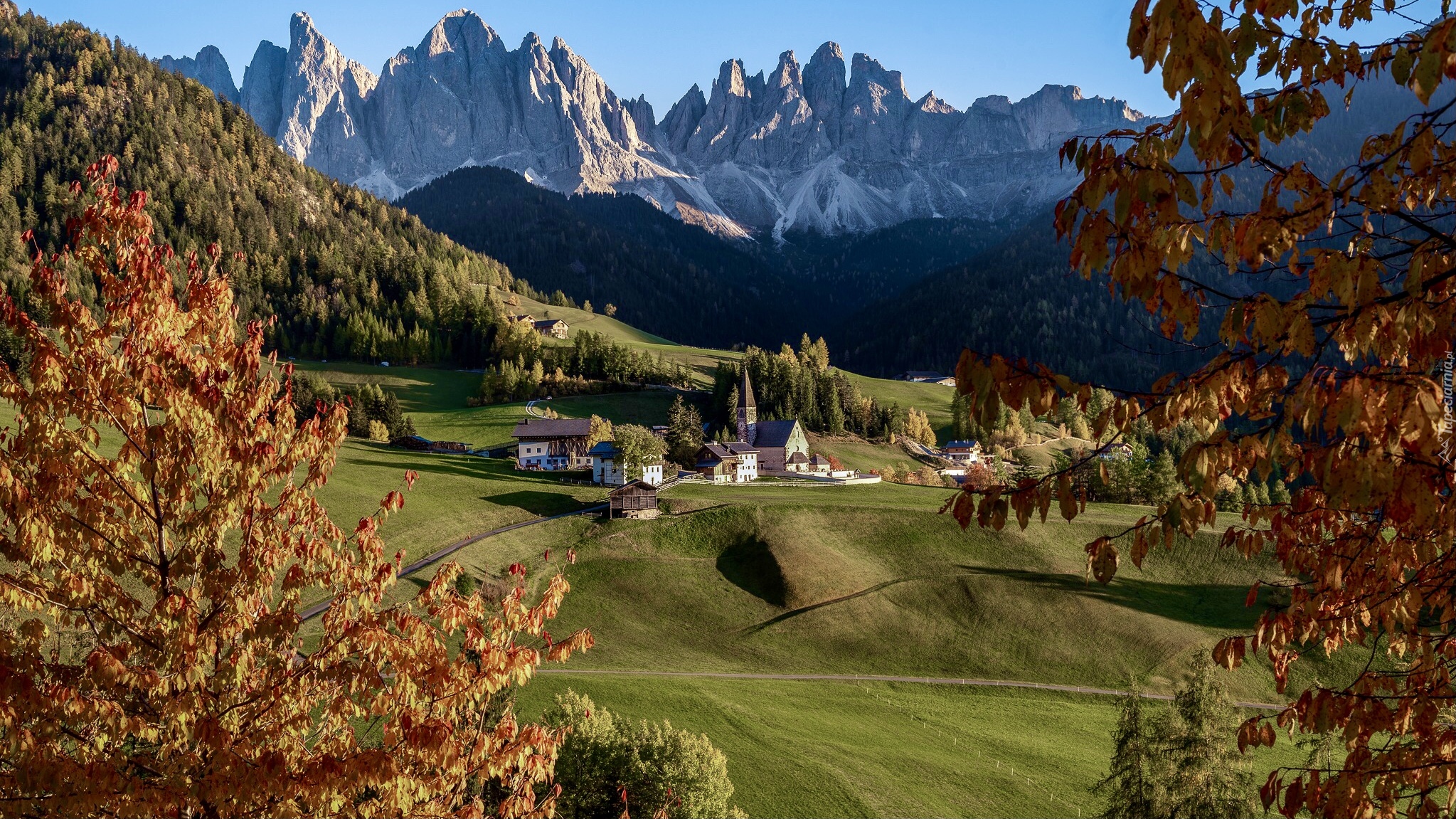 Góry, Dolomity, Wieś Santa Maddalena, Kościół, Domy, Dolina Val di Funes, Drzewa, Jesień, Włochy