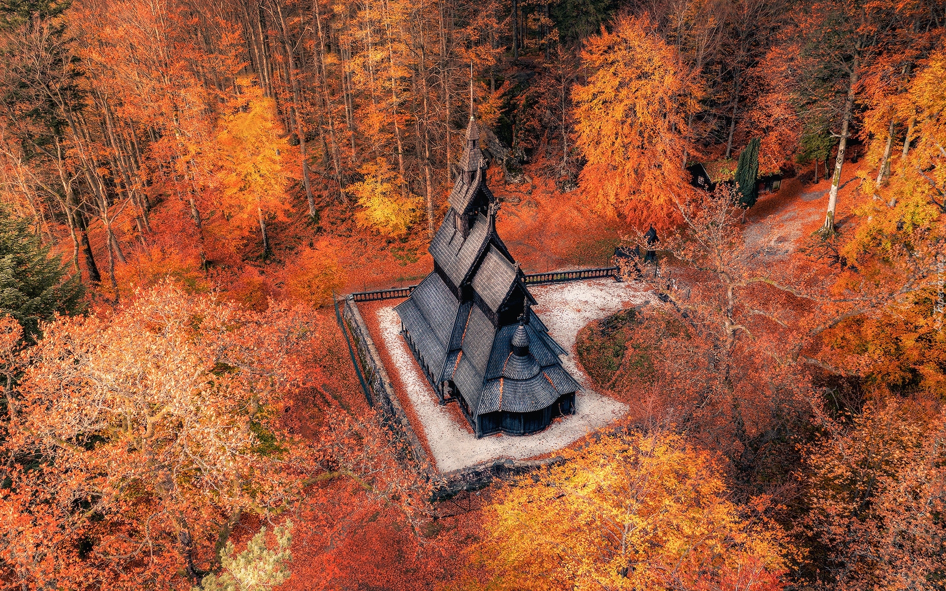 Norwegia, Bergen, Fantoft stavkirke, Kościół klepkowy, Jesień, Drzewa