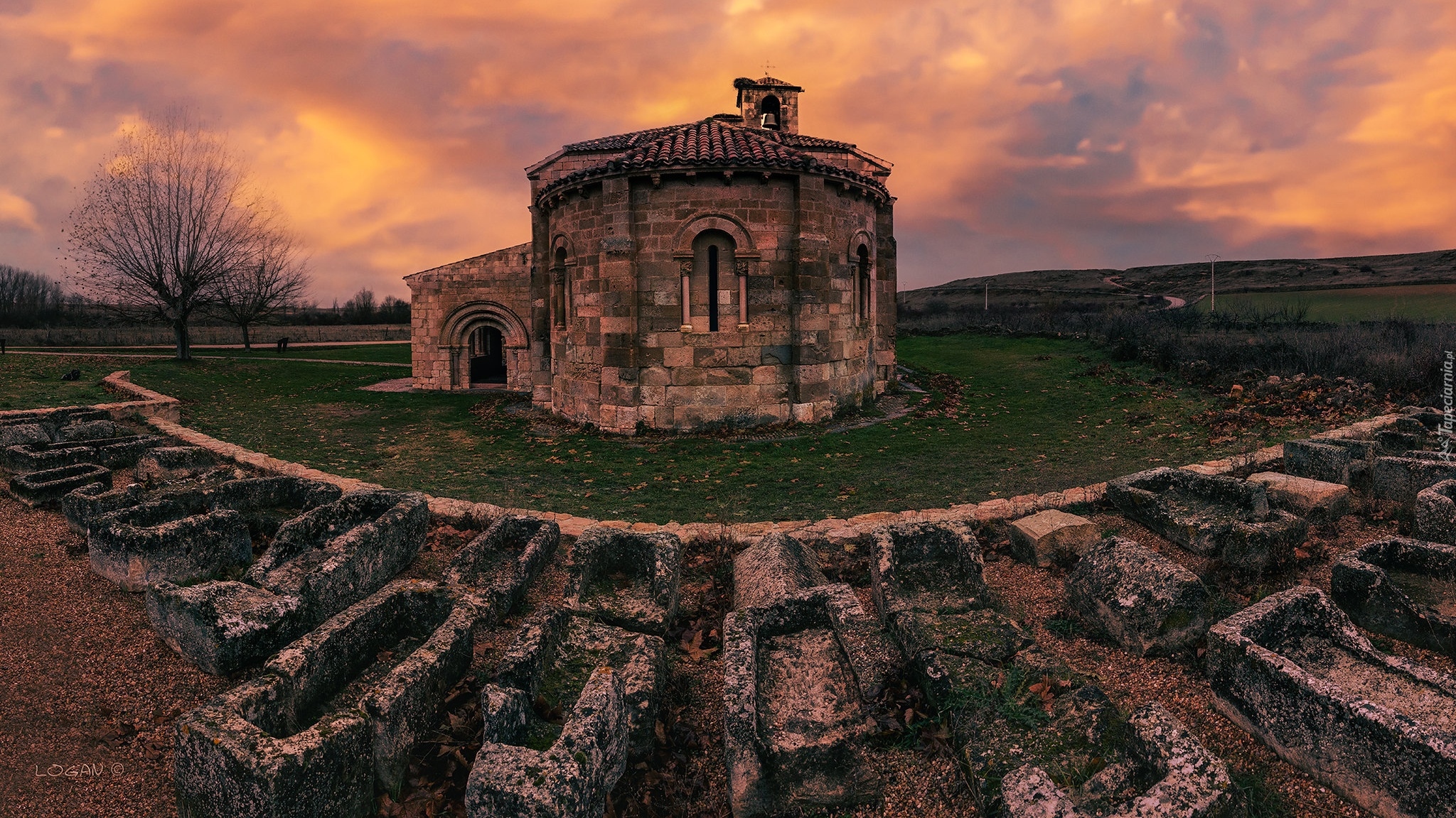 Hiszpania, Segovia, Duraton, Kościół, La Asuncion de María, Drzewa