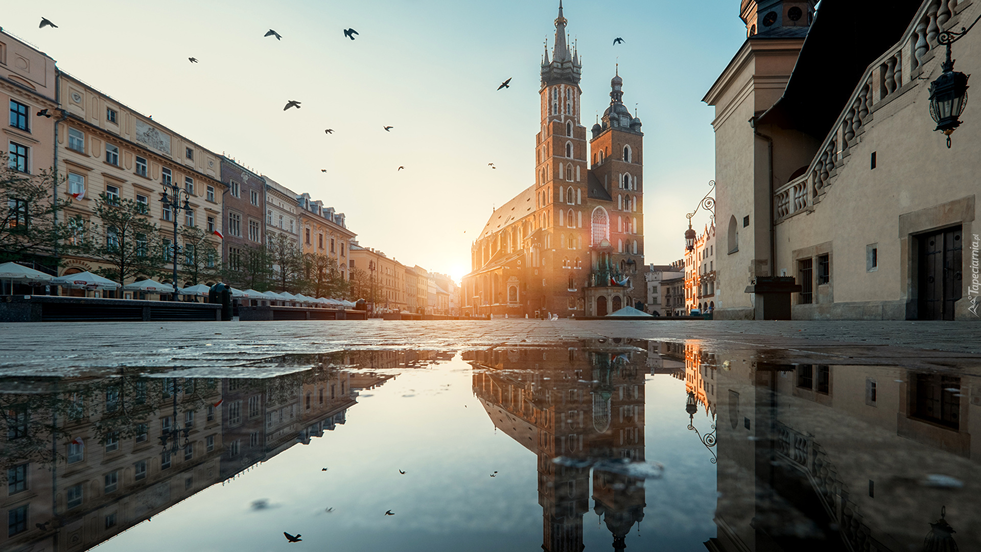 Polska, Kraków, Kościół Mariacki, Kamienice, Kałuża, Odbicie