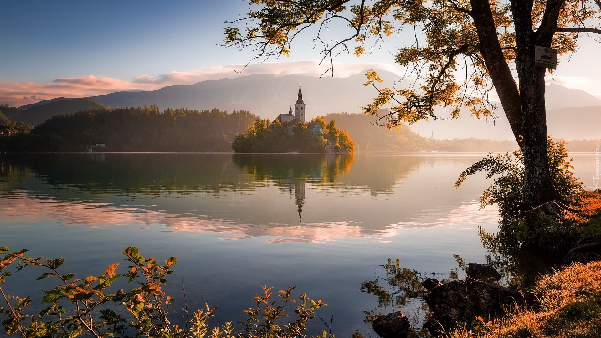 Słowenia, Wyspa Blejski Otok, Jezioro Bled, Kościół, Góry, Mgła, Drzewo