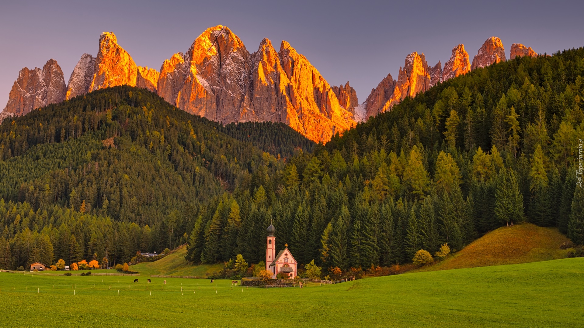 Włochy, Południowy Tyrol, Góry, Dolomity, Kościół św Jana, Wieś, Santa Maddalena, Dolina Val di Funes, Las, Drzewa, Łąka